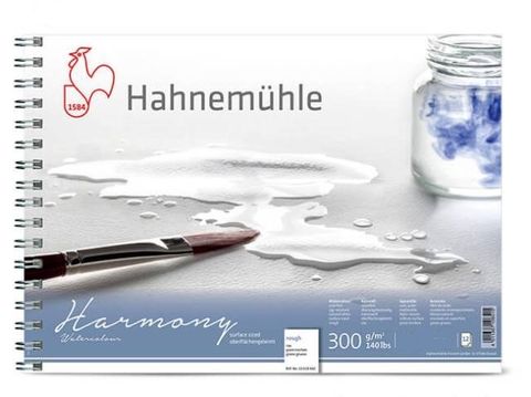 HAHNEMUHLE HARMONY W/C 300G RGH SPIRAL PAD A4