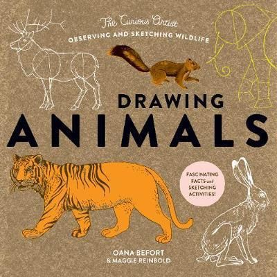 DRAWING ANIMALS THE CURIOUS ARTIST