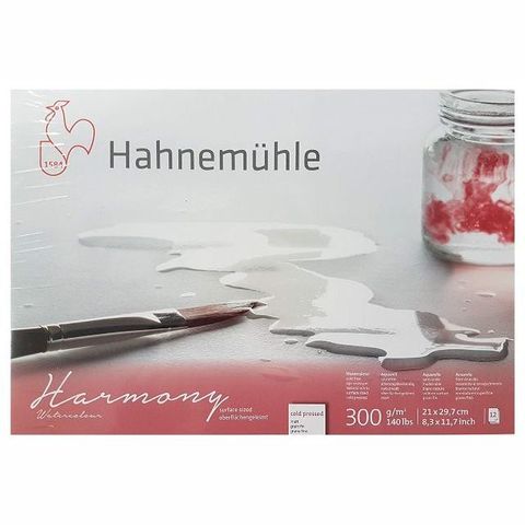 HAHNEMUHLE HARMONY W/C 300G CP BLOCK A4