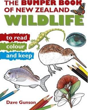 BUMPER BOOK NZ WILDLIFE READ AND COLOUR