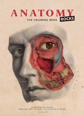 ANATOMY ROCKS COLOURING BOOK