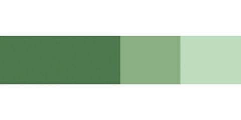 SCHMINCKE HORADAM GOUACHE 15ML CHROM OXIDE GREEN