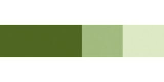 SCHMINCKE HORADAM GOUACHE 15ML OLIVE GREEN