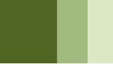 SCHMINCKE HORADAM GOUACHE 15ML OLIVE GREEN