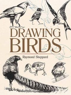 DRAWING BIRDS