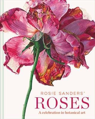 ROSIE SANDERS ROSES