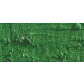 NEOPASTEL OIL PASTEL 225 MOSS GREEN