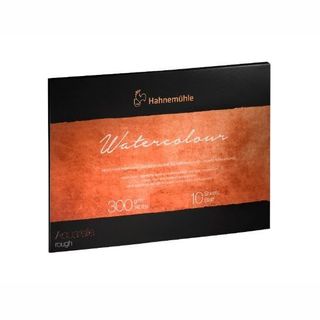 HAHN PROFESSIONAL W/C BLOCK 300G RGH 30X40CM (10)