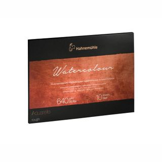 HAHN PROFESSIONAL W/C BLOCK 640G RGH 24X32CM (10)