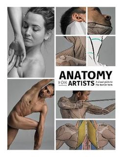 ANATOMY FOR ARTISTS