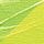 PEBEO STUDIO ACRYLIC 250ML IRIDESCENT GREEN YELLOW
