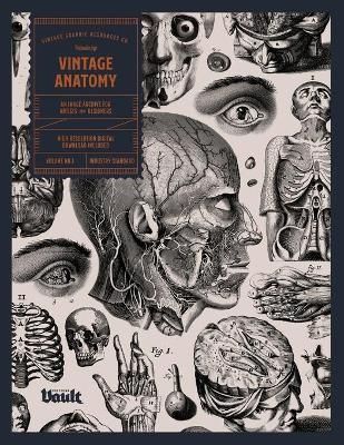 VINTAGE ANATOMY