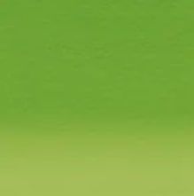 DERWENT INKTENSE PENCIL FERN