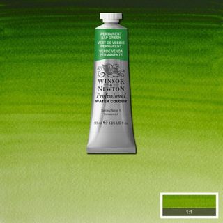 W&N PROFESSIONAL W/C 37ML S1 PERM SAP GREEN