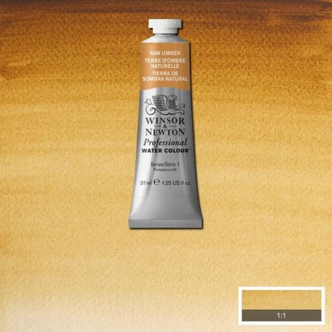 W&N PROFESSIONAL W/C 37ML S1 RAW UMBER