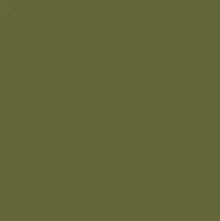 NEOCOLOR I CRAYON 249 OLIVE