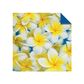 ORIGAMI PAPER 500 SHEETS NATURE PHOTO 15CM