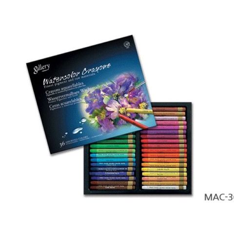 MUNGYO GALLERY WATERCOLOUR CRAYONS SET 36