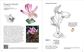 ORIGAMI ORCHIDS KIT