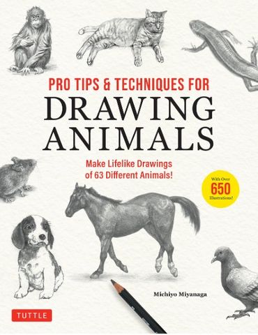 PRO TIPS TECHNIQUES FOR DRAWING ANIMALS