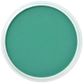 PAN PASTEL PHTHALO GREEN 620.5