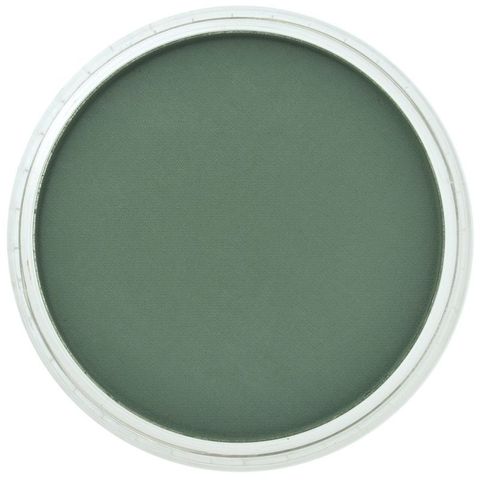 PAN PASTEL PERMANENT GREEN EXTRA DARK 640.1