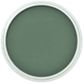 PAN PASTEL PERMANENT GREEN EXTRA DARK 640.1