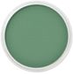 PAN PASTEL PERMANENT GREEN SHADE 640.3