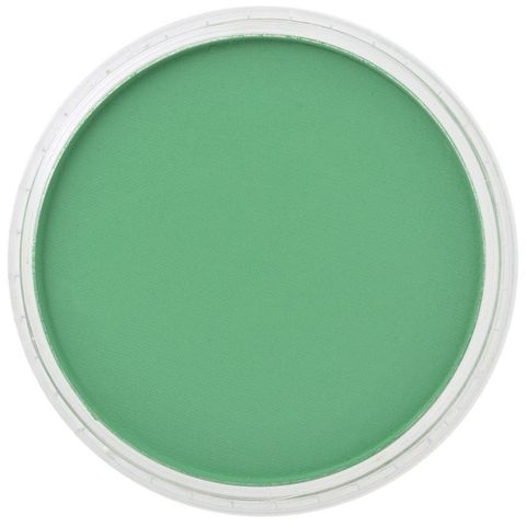 PAN PASTEL PERMANENT GREEN 640.5