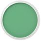 PAN PASTEL PERMANENT GREEN 640.5