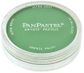 PAN PASTEL PERMANENT GREEN 640.5