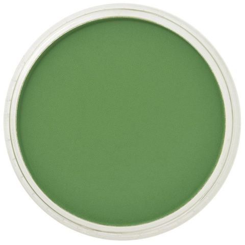 PAN PASTEL CHROMIUM OXIDE GREEN 660.5