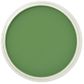 PAN PASTEL CHROMIUM OXIDE GREEN 660.5