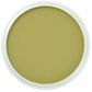 PAN PASTEL BRIGHT YELLOW GREEN SHADE 680.3