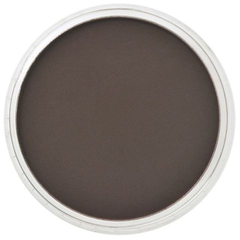 PAN PASTEL RAW UMBER EXTRA DARK 780.1