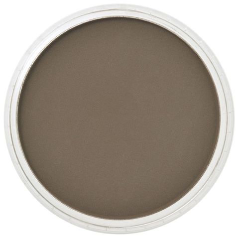 PAN PASTEL RAW UMBER SHADE 780.3