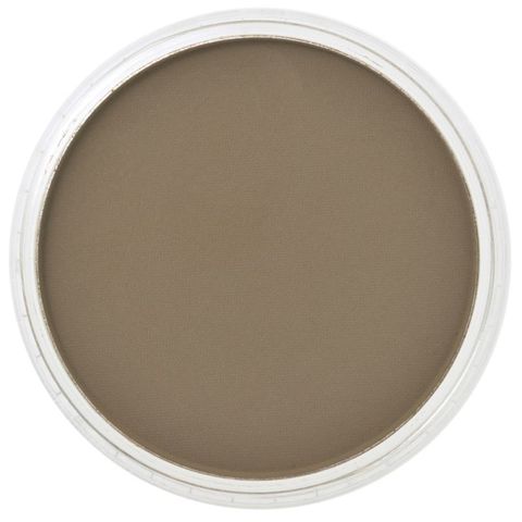 PAN PASTEL RAW UMBER 780.5