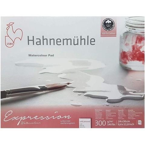 HAHNEMUHLE EXPRESSION W/C 300G CP BLOCK 24 X 30CM