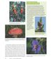 COLOUR FOR BOTANICAL ARTISTS AND ILLUSTRATORS
