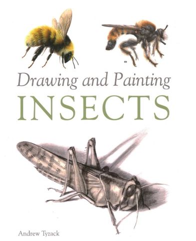 DRAWING AND PAINTING INSECTS