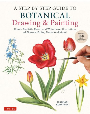 STEP BY STEP GUIDE BOTANICAL DRAWING PAINTING