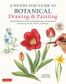 STEP BY STEP GUIDE BOTANICAL DRAWING PAINTING