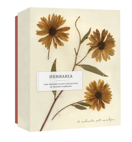 HERBARIA PRESSED PLANT 12 NOTECARDS ENVELOPES