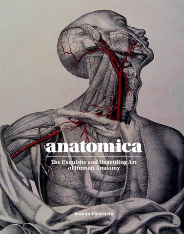 ANATOMICA