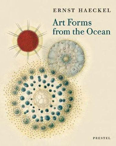 ART FORMS FROM THE OCEAN ERNST HAECKEL