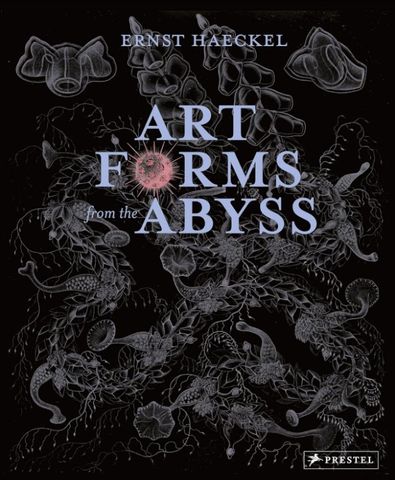 ART FORMS FROM THE ABYSS ERNST HAECKEL