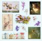 FAERIE KINGDOM STICKER BOOK