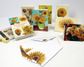 SUNFLOWERS 12 BLANK NOTE CARDS