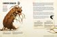 MONSTERS & CREATURES COMPENDIUM