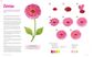 HAPPY FLOWER PAINTING FOR BEGINNERS